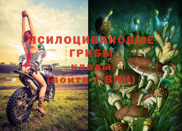 альфа пвп Лихославль