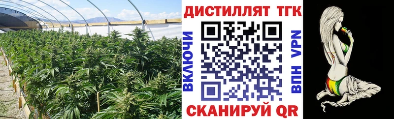 цена наркотик  Ессентуки  Дистиллят ТГК вейп 