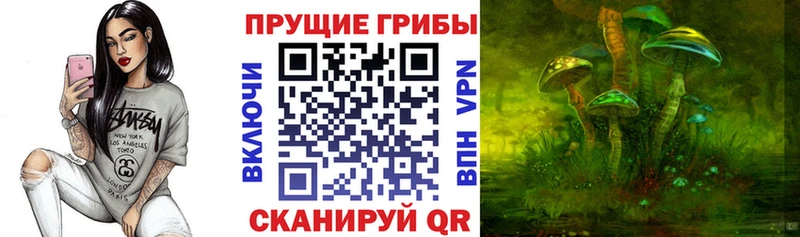 Галлюциногенные грибы Psilocybe  Ессентуки 
