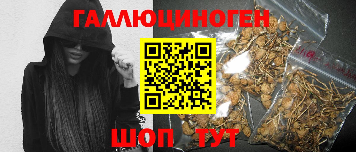 Галлюциногенные грибы Magic Shrooms  как найти закладки  Ессентуки 