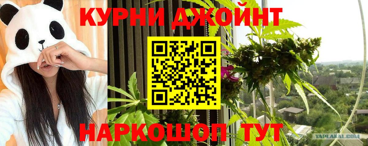 Ессентуки  Бошки марихуана VHQ  Конопля Bruce Banner  Вход с VPN  МАРИХУАНА White Widow 